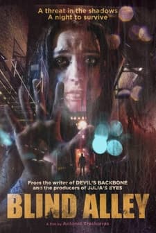 Çıkmaz Sokak (2011) afişi