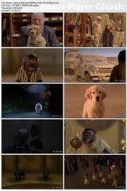 Hazine Bekçileri Fotoğrafı