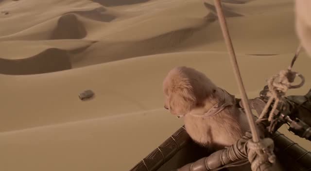 Hazine Bekçileri Fotoğrafı