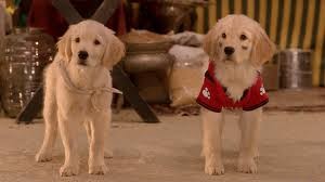 Hazine Bekçileri Fotoğrafı