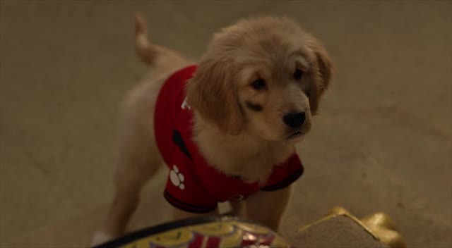 Hazine Bekçileri Fotoğrafı