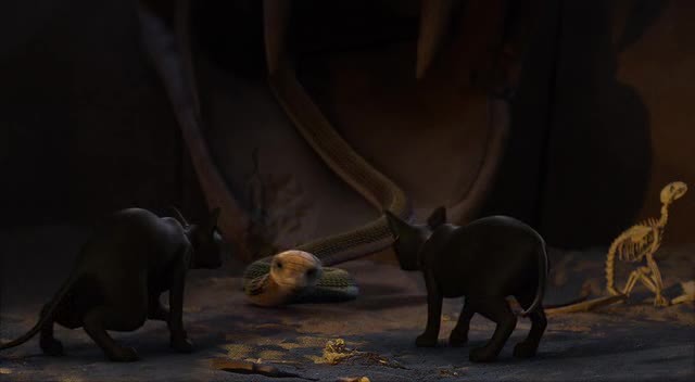 Hazine Bekçileri Fotoğrafı