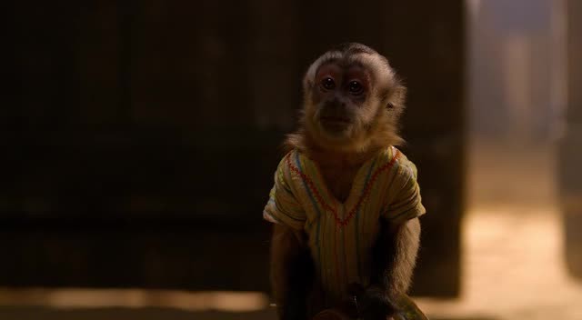 Hazine Bekçileri Fotoğrafı