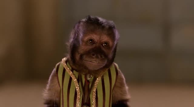 Hazine Bekçileri Fotoğrafı