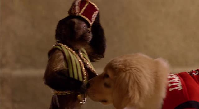 Hazine Bekçileri Fotoğrafı