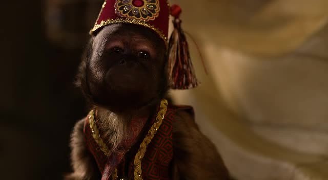 Hazine Bekçileri Fotoğrafı