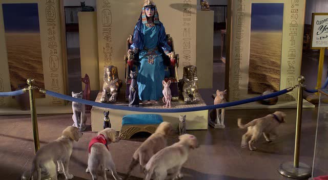 Hazine Bekçileri Fotoğrafı