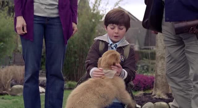 Hazine Bekçileri Fotoğrafı