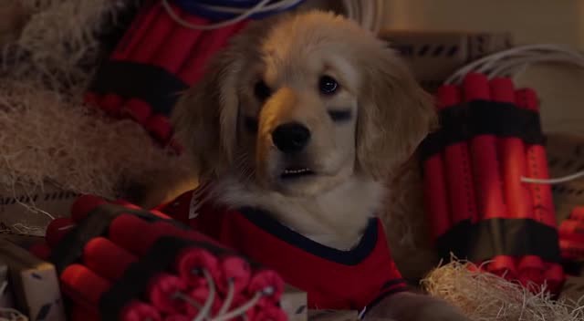 Hazine Bekçileri fotoğrafı