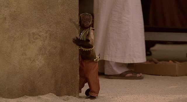 Hazine Bekçileri fotoğrafı