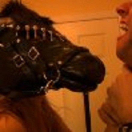 Year Of The Donkey fotoğrafı