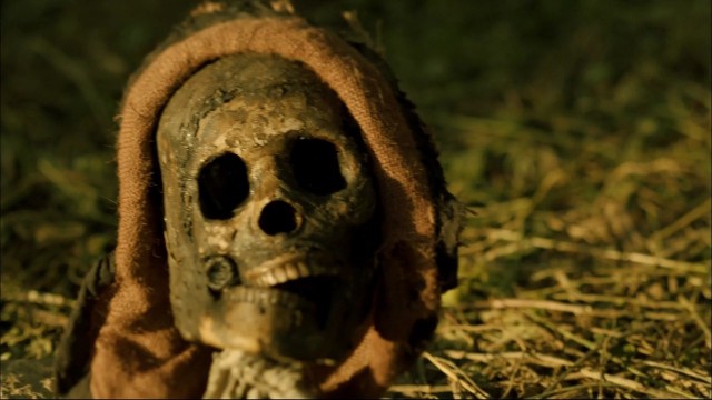 Treasure Island Fotoğrafı