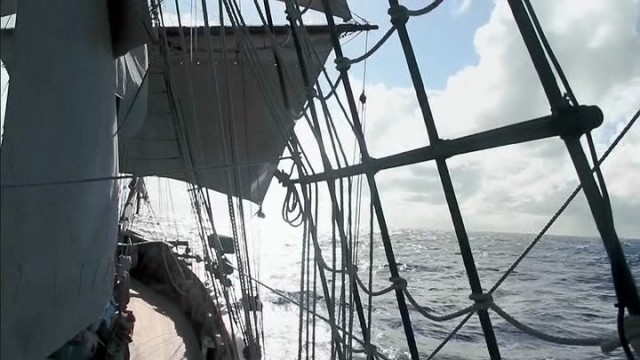 Treasure Island Fotoğrafı