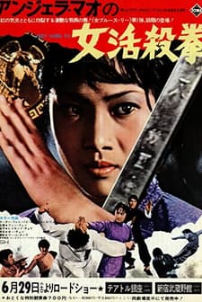 Lady Kung Fu (1972) afişi