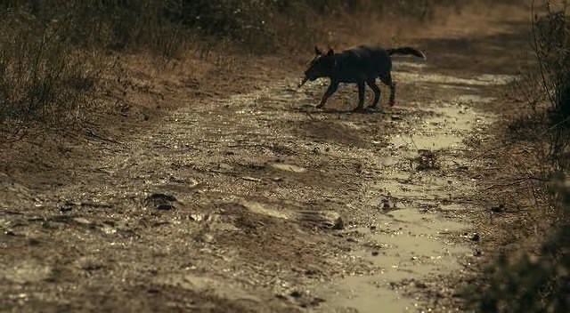 Savaş Oyunları Fotoğrafı
