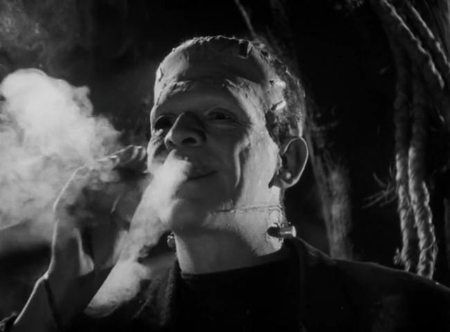 Frankenstein'ın Gelini Fotoğrafı