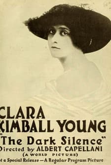 The Dark Silence (1916) afişi