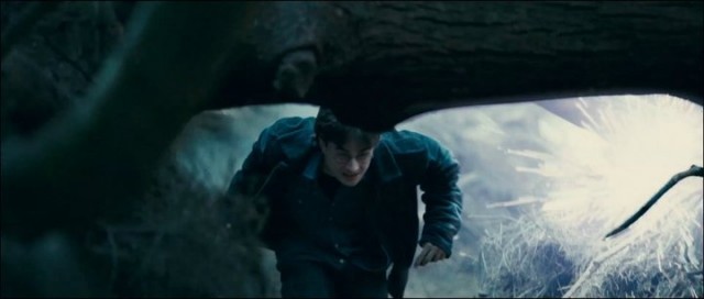 Harry Potter ve Ölüm Yadigarları: Bölüm 1 Fotoğrafı