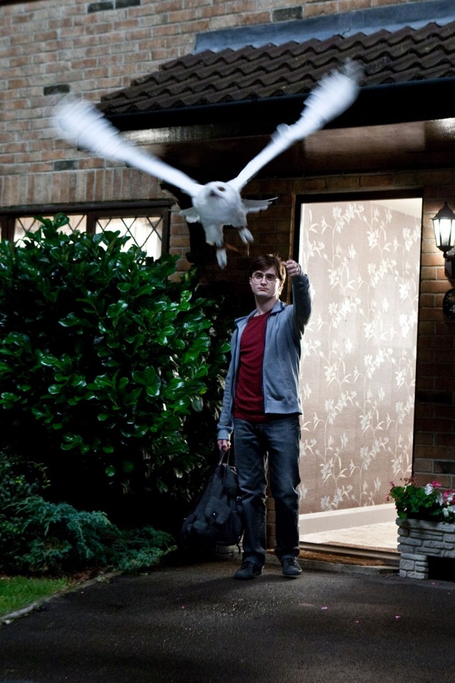 Harry Potter ve Ölüm Yadigarları: Bölüm 1 Fotoğrafı