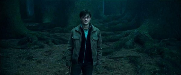 Harry Potter ve Ölüm Yadigarları: Bölüm 1 Fotoğrafı