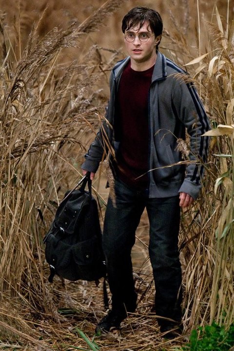 Harry Potter ve Ölüm Yadigarları: Bölüm 1 Fotoğrafı