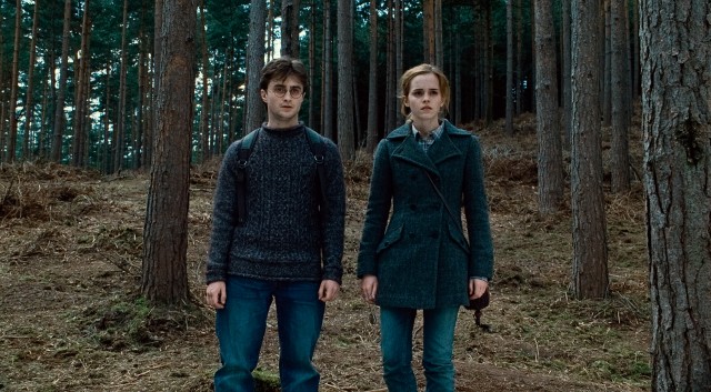 Harry Potter ve Ölüm Yadigarları: Bölüm 1 Fotoğrafı