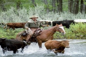 Uzak Ülke Fotoğrafı