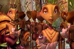 Karınca Z fotoğrafı