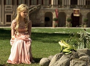 Der Froschkönig Fotoğrafı