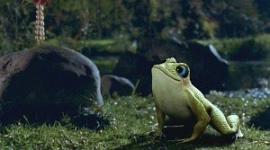Der Froschkönig Fotoğrafı