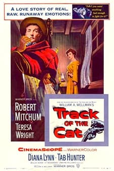 Kedinin izinde (1954) afişi