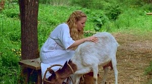 König Drosselbart Fotoğrafı