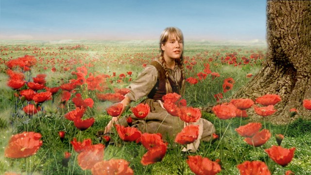 Frau Holle Fotoğrafı