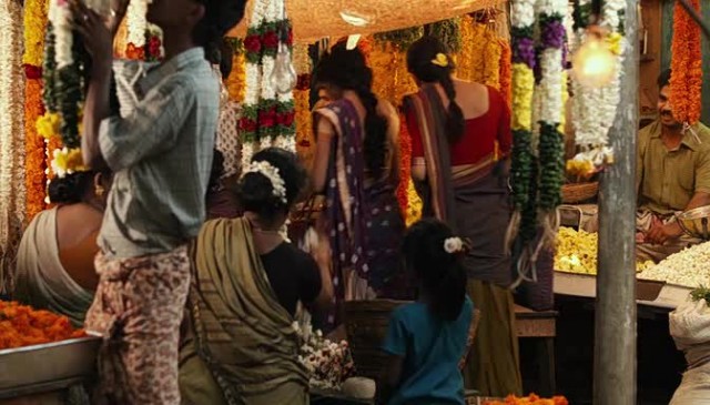 Pi'nin Yaşamı Fotoğrafı