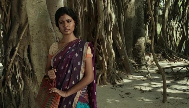 Pi'nin Yaşamı Fotoğrafı