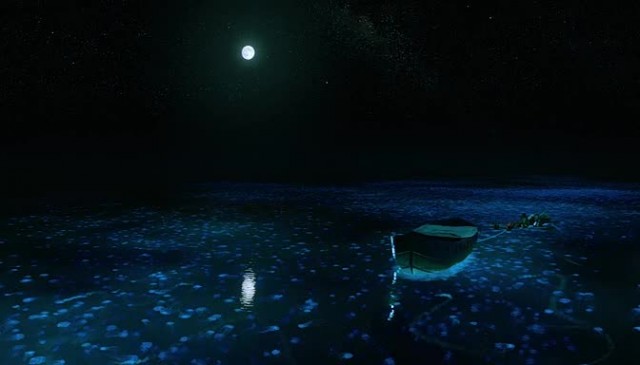 Pi'nin Yaşamı Fotoğrafı