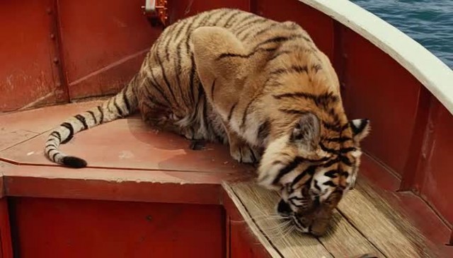 Pi'nin Yaşamı Fotoğrafı