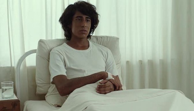 Pi'nin Yaşamı Fotoğrafı