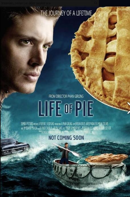 Pi'nin Yaşamı Fotoğrafı