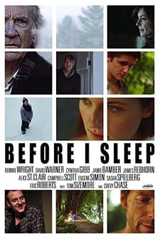 Before I Sleep (2013) afişi