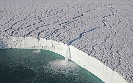 Frozen Planet Fotoğrafı