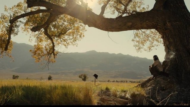 Paloma Yolu Fotoğrafı