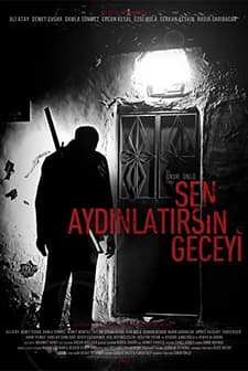 Sen Aydınlatırsın Geceyi (2013) afişi