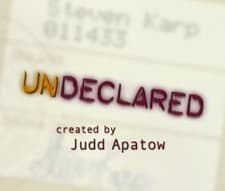 Undeclared (2001) afişi