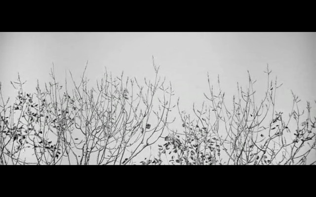 Sanatçı ve Modeli Fotoğrafı