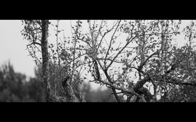 Sanatçı ve Modeli Fotoğrafı