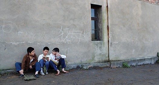 11 Flowers fotoğrafı