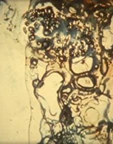 Friendly Fire (2003) afişi