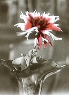 Le chrysanthème rouge (1912) afişi