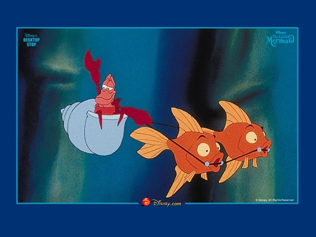 Küçük Denizkızı Fotoğrafı